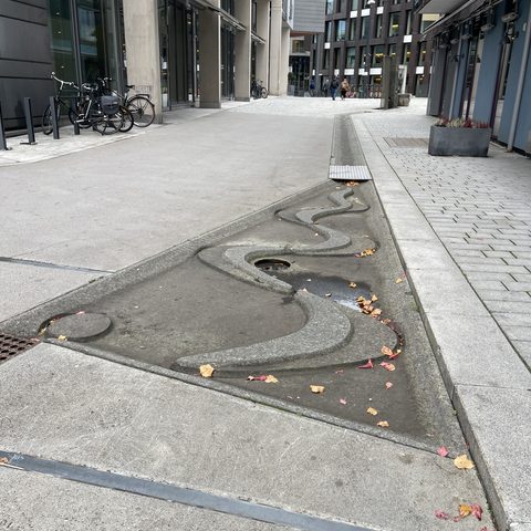 Biophilia, 3