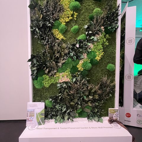 Biophilia, 13