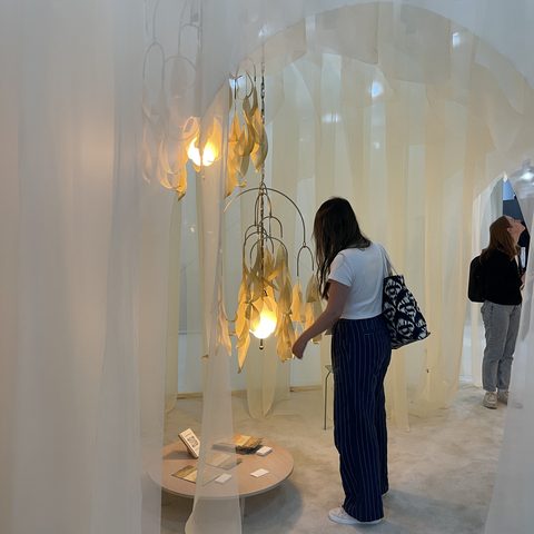 Biophilia, 16