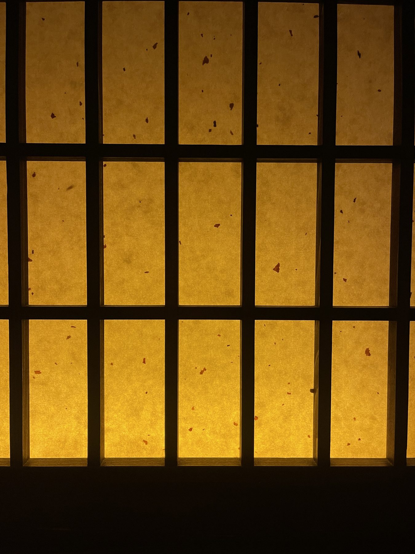 Light diffused through paper