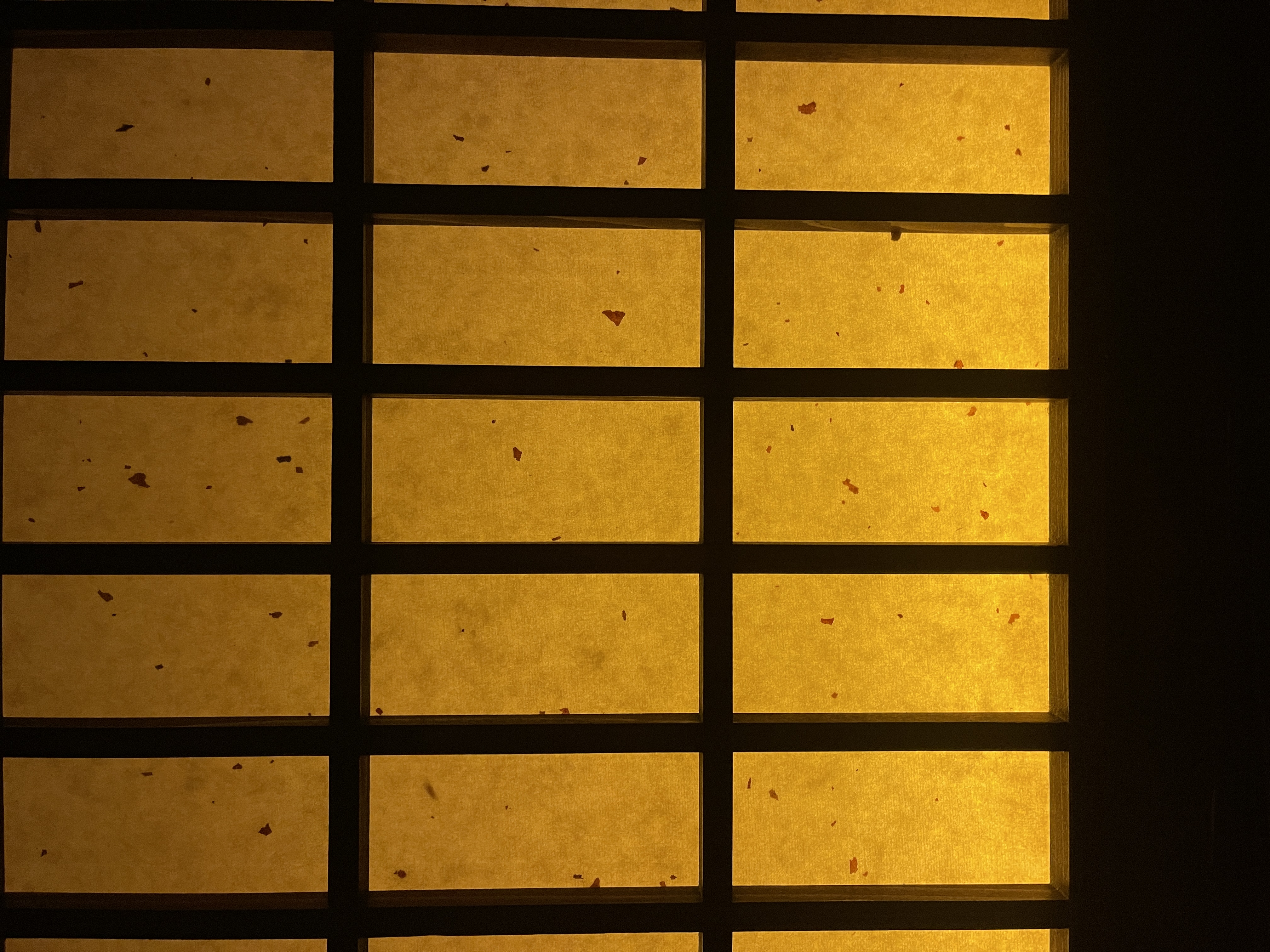 Light, 25