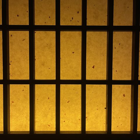 Light, 25
